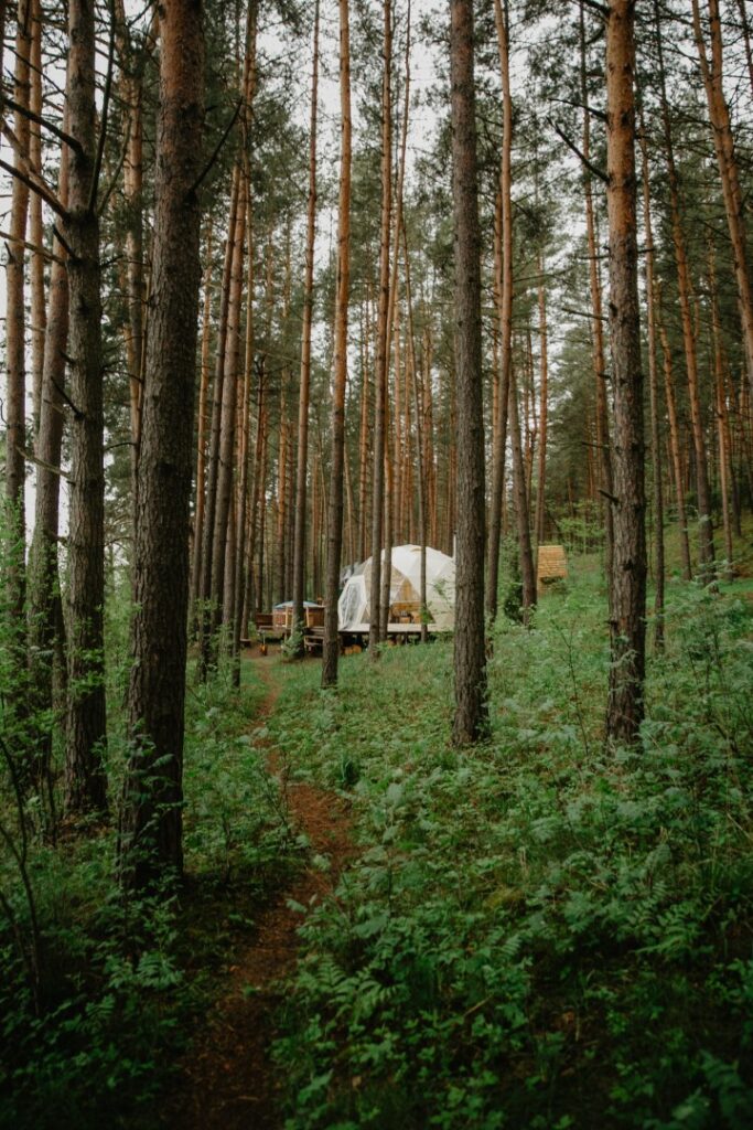 „Asalnų stovyklavietėje“_Ignalina_Asalnai camping site_forest domes