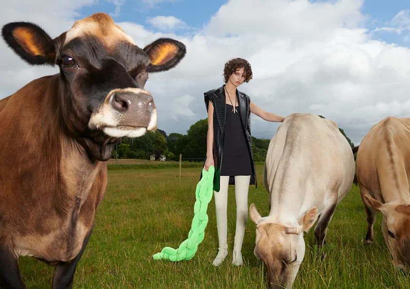 H&M Innovation coexist story approved by PETA