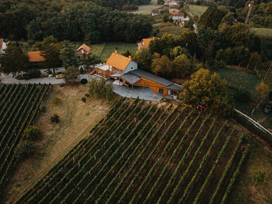 VK vinarija&galerija u okolici Ivanić Grada