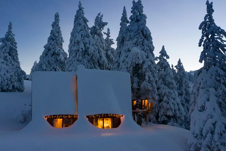 Chalet i Tree House Alpinka - ski resort Krvavec