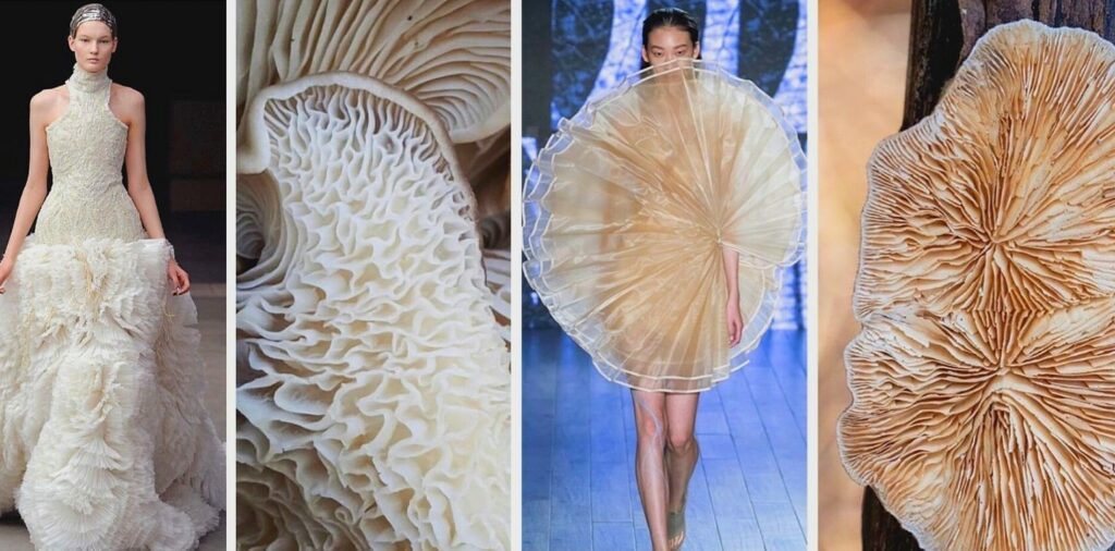 gljive u modnoj indusriji