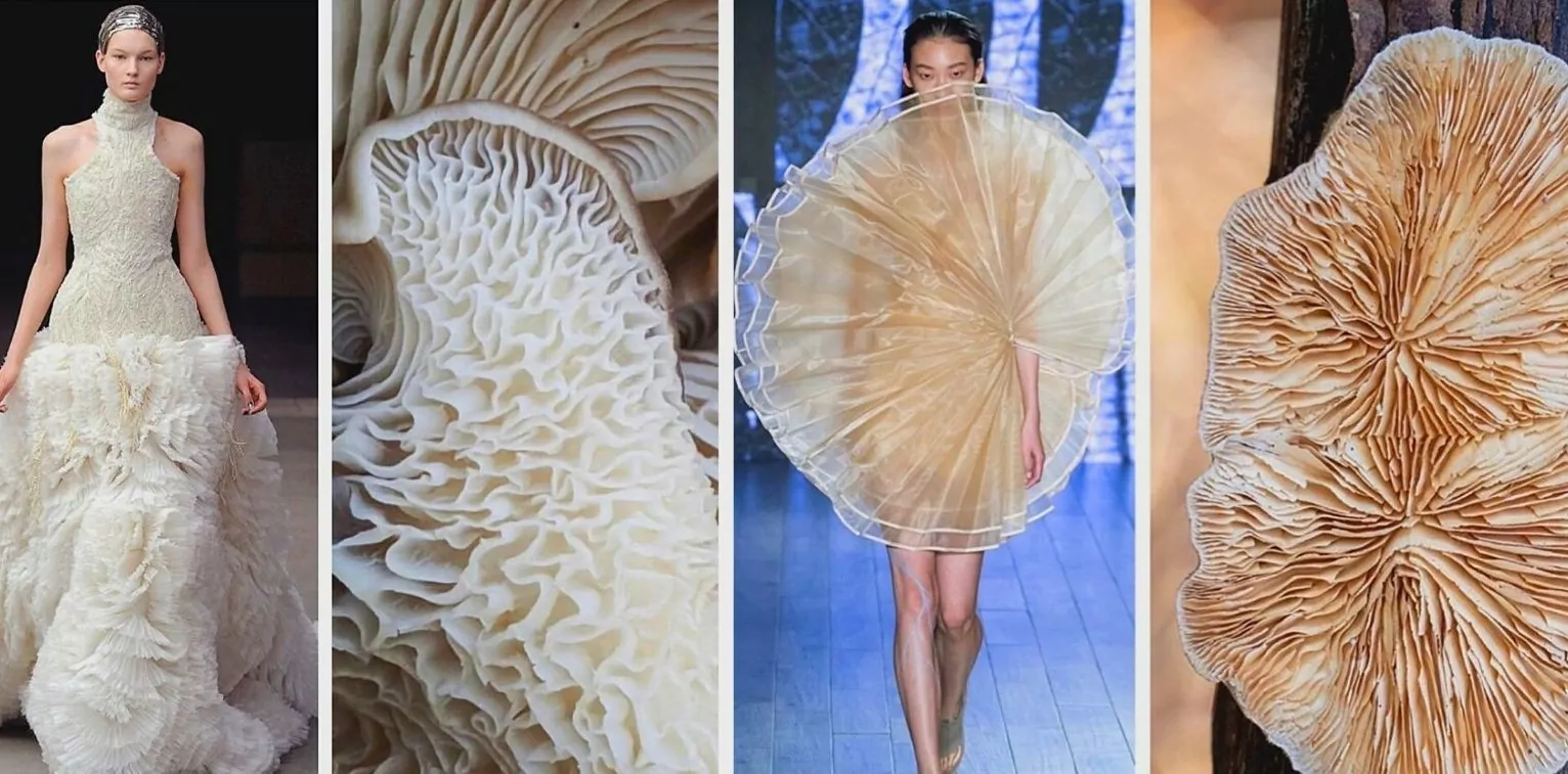 gljive u modnoj indusriji