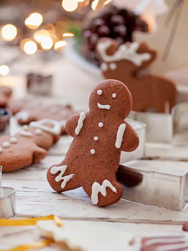 Gingerbread keksi by Andrea Cukrov
