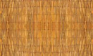 Samoljepljive tapete Life Decor trstika, 70x100 cm, 80 kn