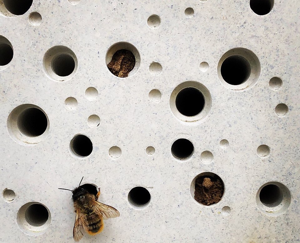 Bee bricks_cigle za pčele