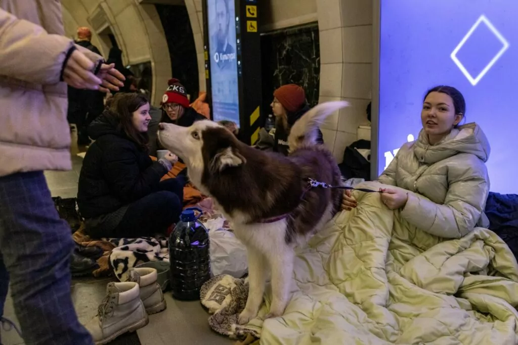 KYIV, UKRAINE - MARCH 02: People pat a dog as they shelter in the Dorohozhychi subway station which has has been turned into a bomb shelter on March 02, 2022 in Kyiv, Ukraine. Russian forces continued their advance on the Ukrainian capital for the seventh day as the country's invasion of its western neighbour goes on. Intense battles are also being waged over Ukraine's other major cities. (Photo by Chris McGrath/Getty Images)