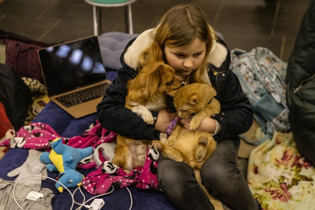 KYIV, UKRAINE - MARCH 02: A girl sits with her dog and cat in the Dorohozhychi subway station which has has been turned into a bomb shelter on March 02, 2022 in Kyiv, Ukraine. Russian forces continued their advance on the Ukrainian capital for the seventh day as the country's invasion of its western neighbour goes on. Intense battles are also being waged over Ukraine's other major cities. (Photo by Chris McGrath/Getty Images)
