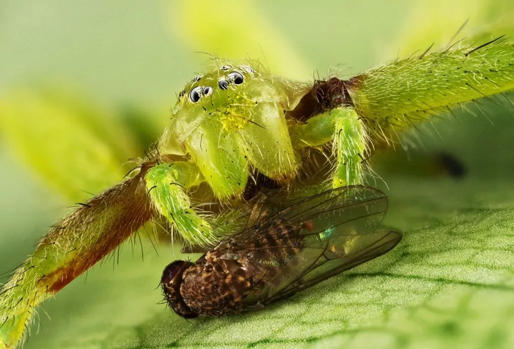 world nature photography
