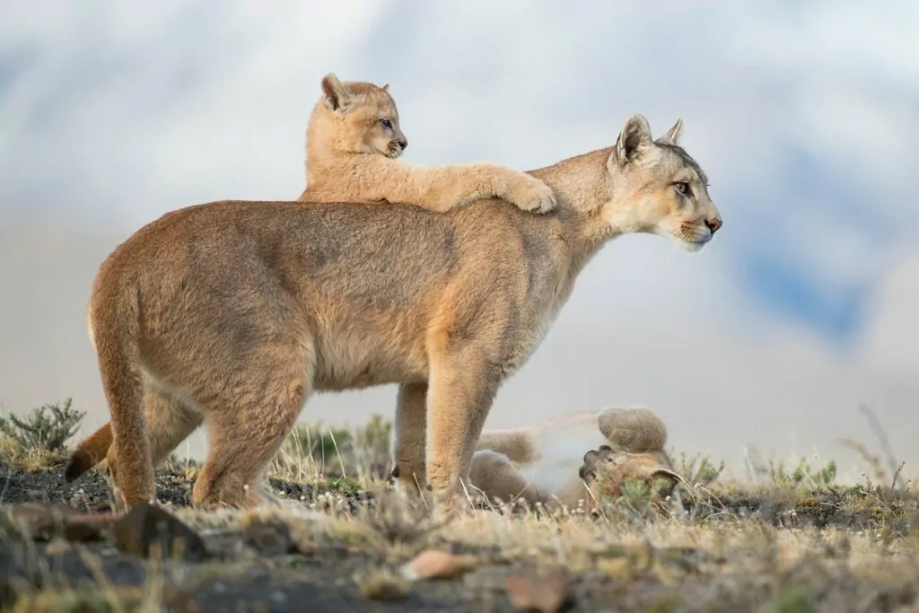 world nature photography