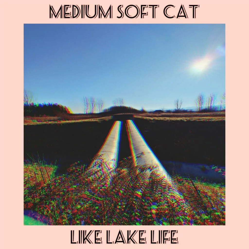 Medium Soft Cat Like Lake Life