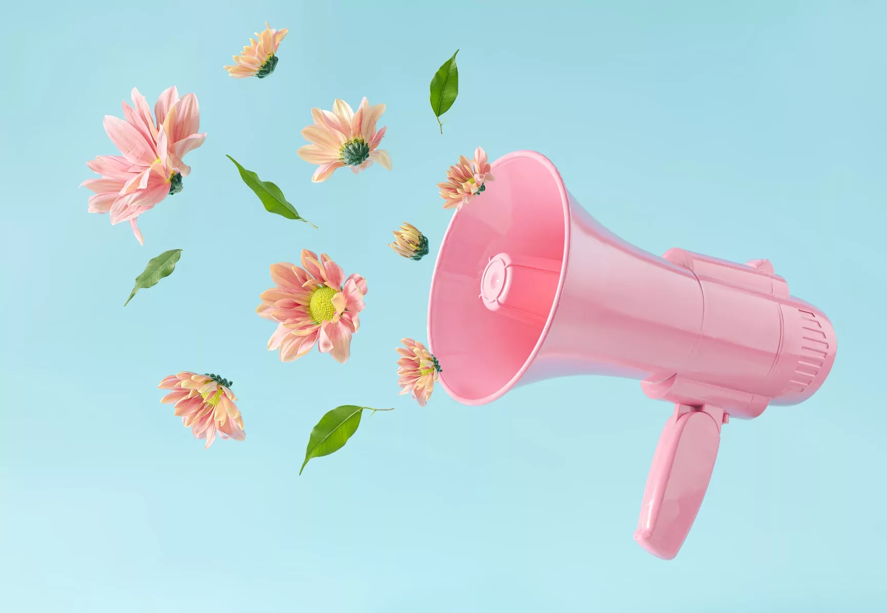 Roza megafon s cvijećem