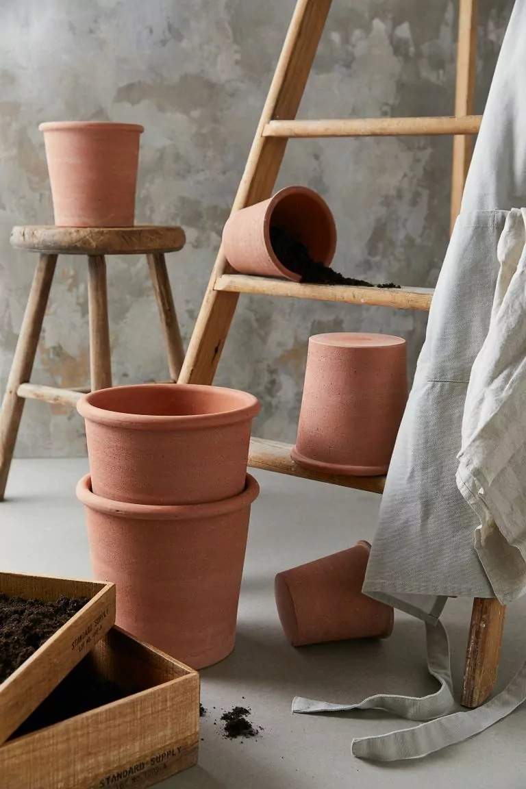 Terracotta plant pot_H&M