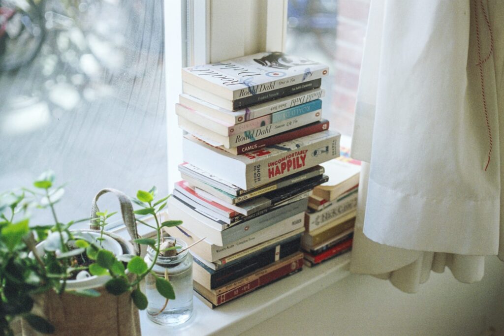 Knjige na polici pored prozora