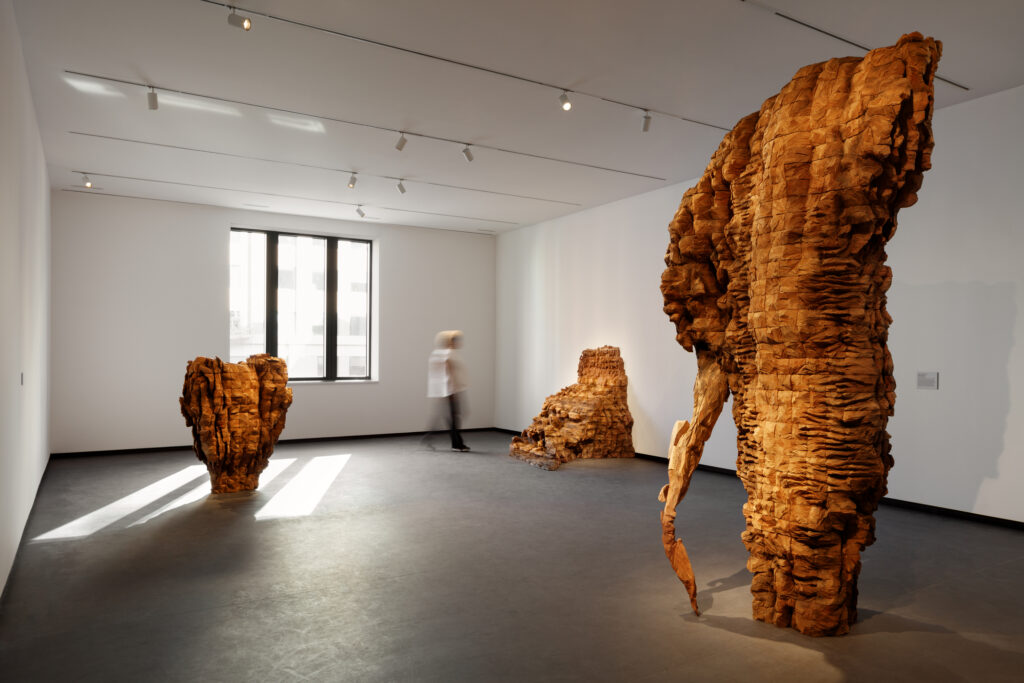 Installation view of works by Ursula von Rydingsvard in The Sky's the Limit at the National Museum of Women in the Arts; Photo by Jennifer Hughes, courtesy of NMWA