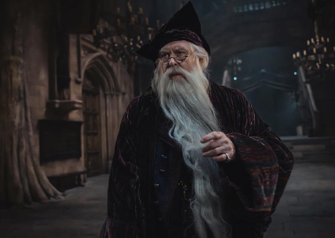 Harry Potter TV serija - Dumbledore