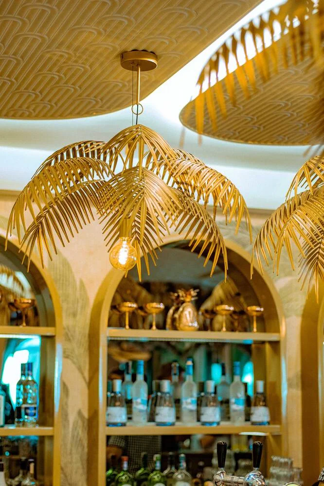 Smješten u srcu povijesne jezgre Dubrovnika, restoran i bar Cele oduvijek je bio više od ugostiteljskog objekta, bio je kultna slastičarnica, mjesto susreta i nezaobilazna postaja generacija Dubrovčana.