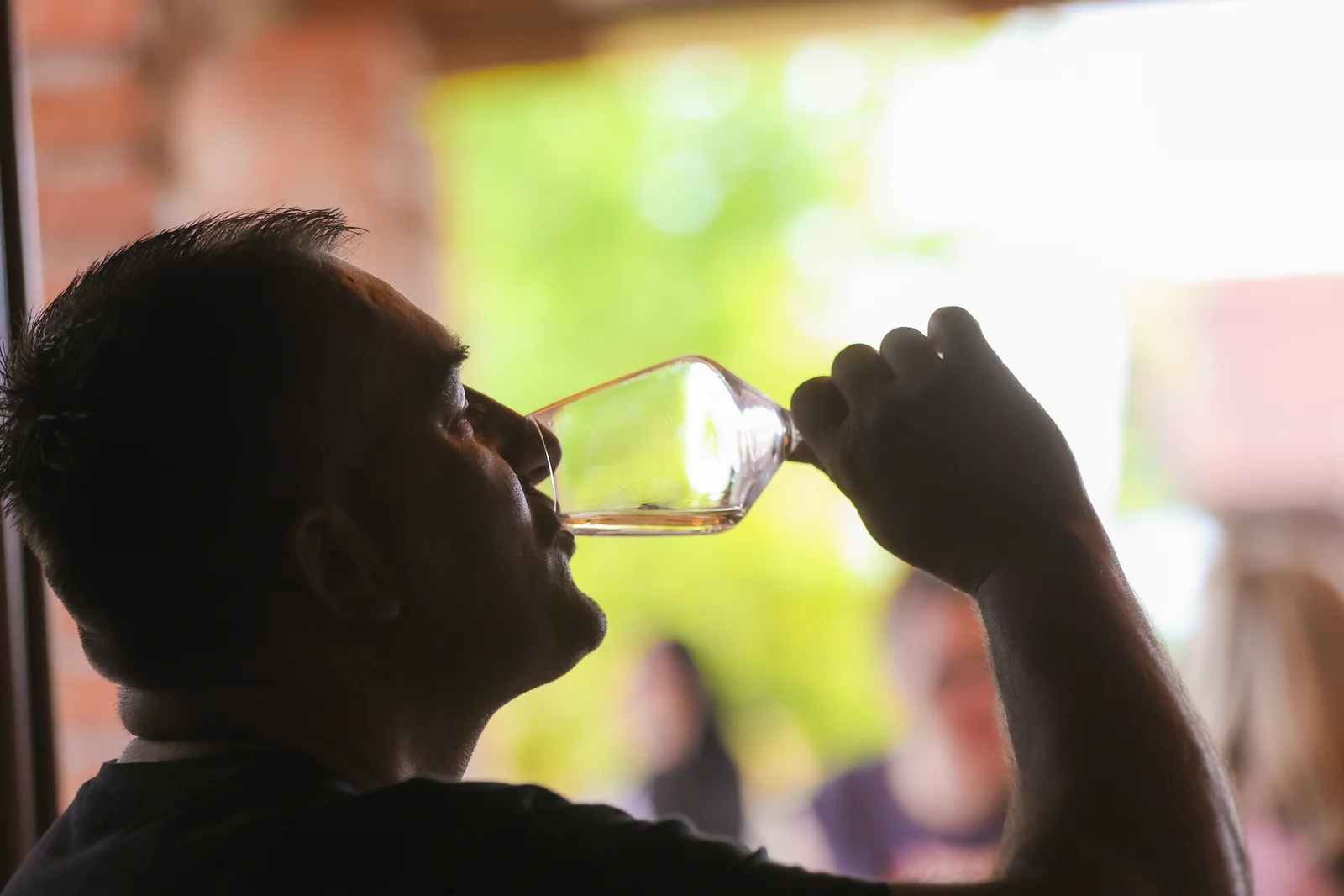 Festival pjenušaca i jagoda oduševio tisuće posjetitelja – Plešivica ponovno zablistala u punom sjaju