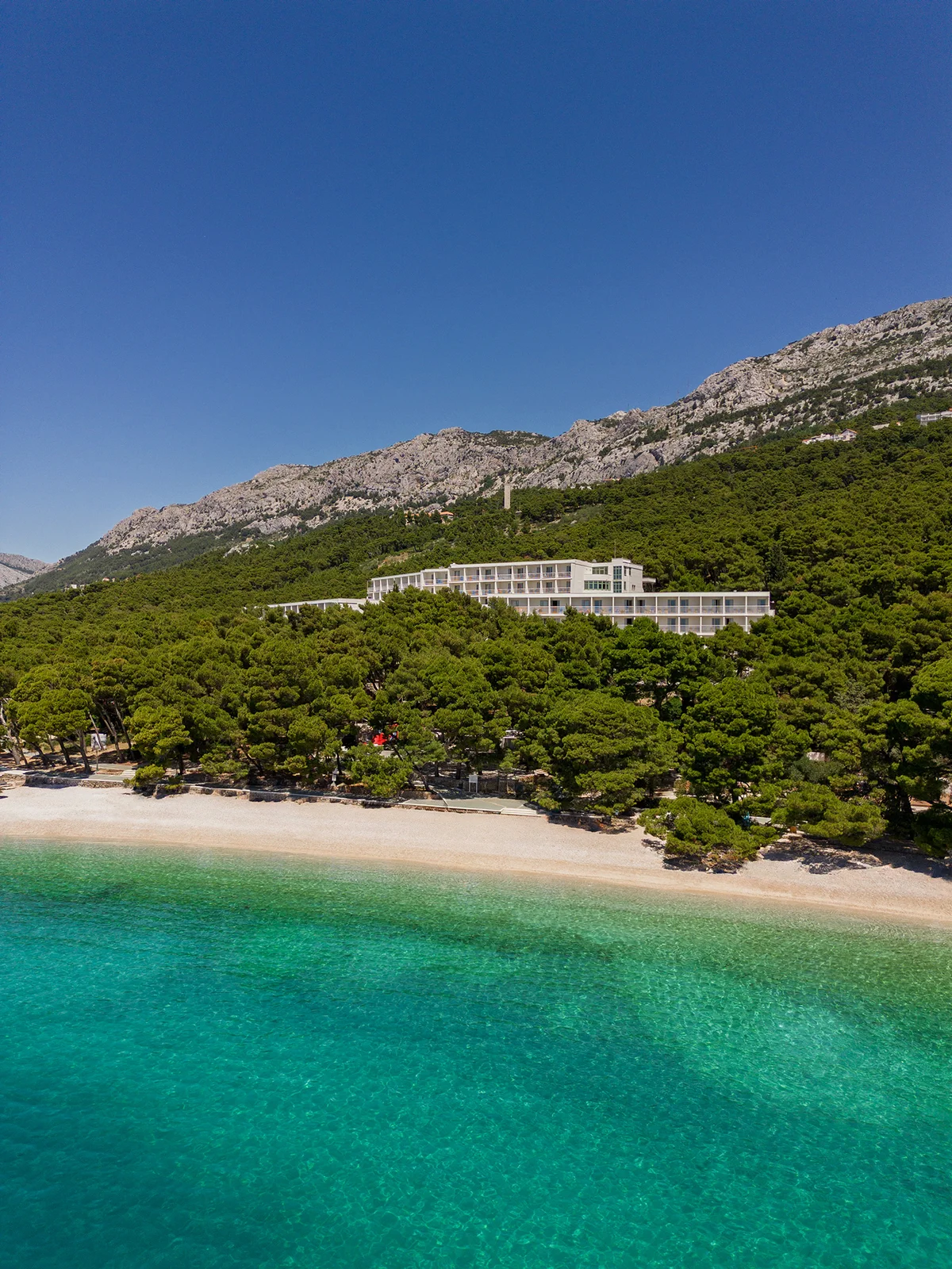 Bilo da ste u potrazi za mjestom gdje ćete s djecom na ljetovanje, hotelom u kojem ćete provesti romantičan odmor ili nezaboravno ljeto s prijateljicom, bacite oko na First minute ponudu Bluesun hotela.