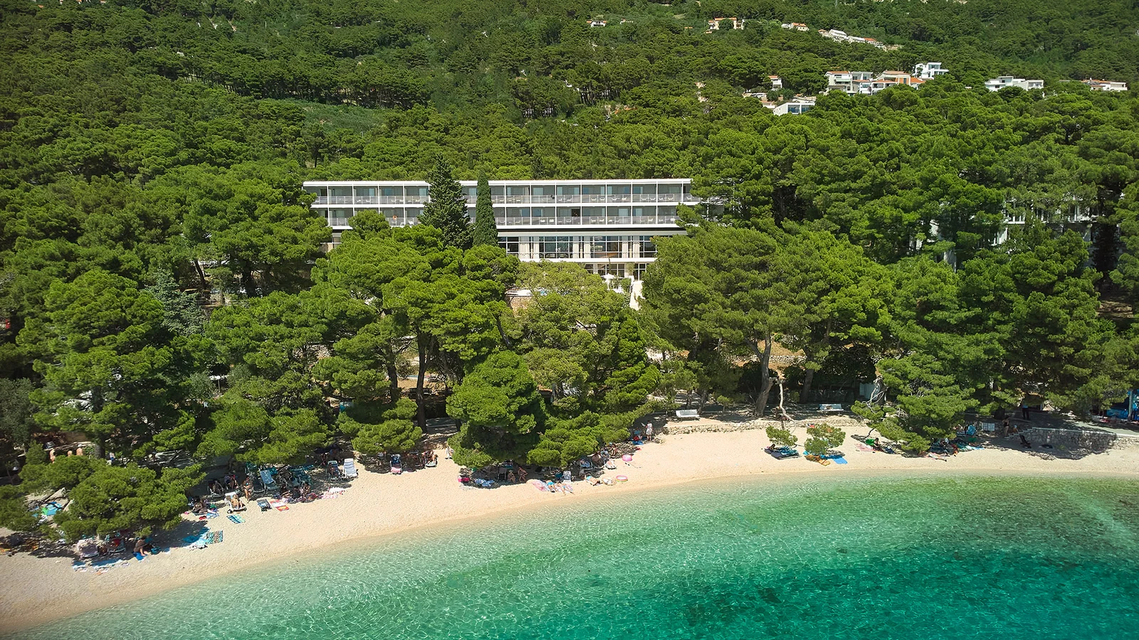 Bilo da ste u potrazi za mjestom gdje ćete s djecom na ljetovanje, hotelom u kojem ćete provesti romantičan odmor ili nezaboravno ljeto s prijateljicom, bacite oko na First minute ponudu Bluesun hotela.