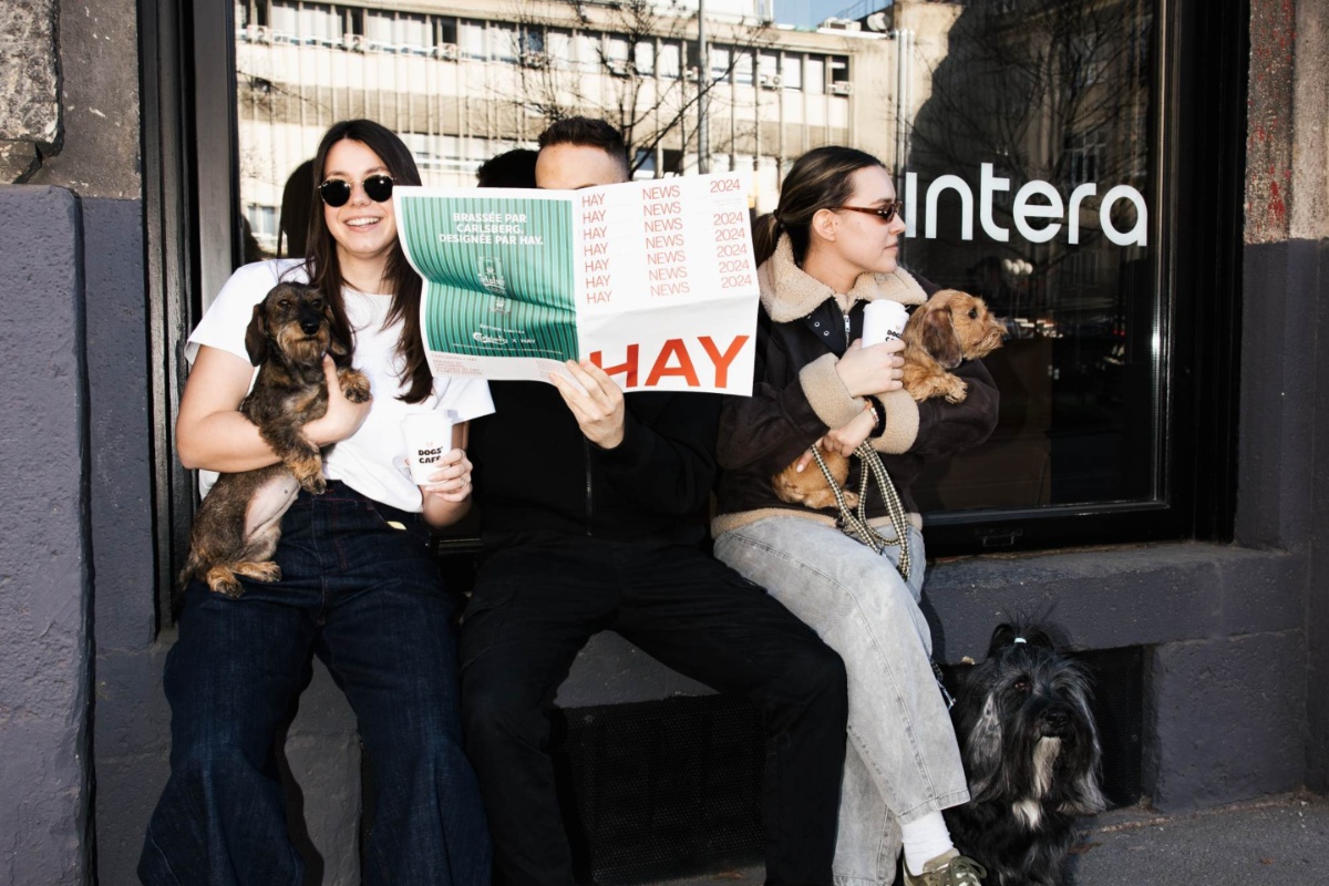 dogs cafe zagreb cover