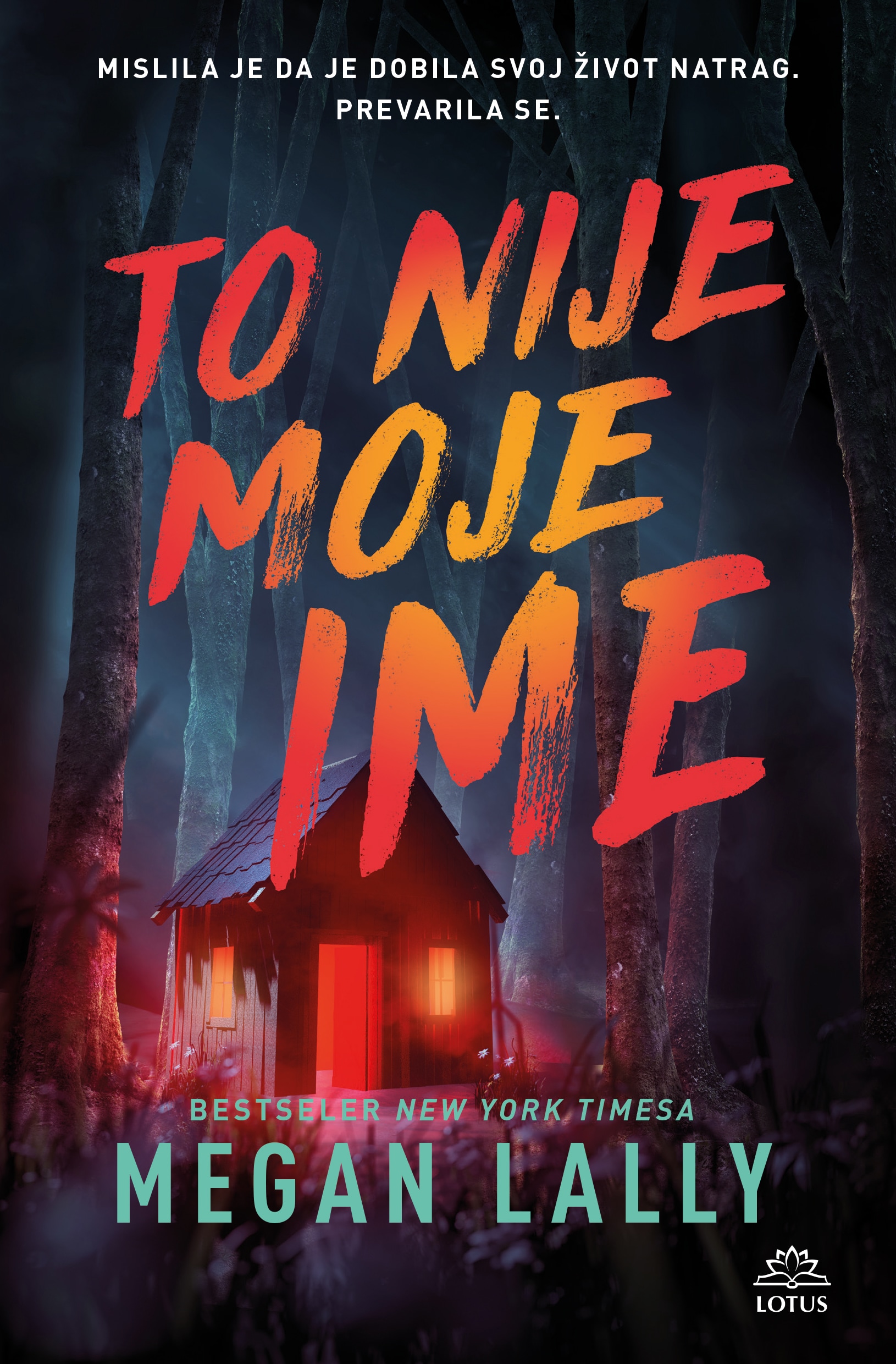 triler knjige - To nije moje ime