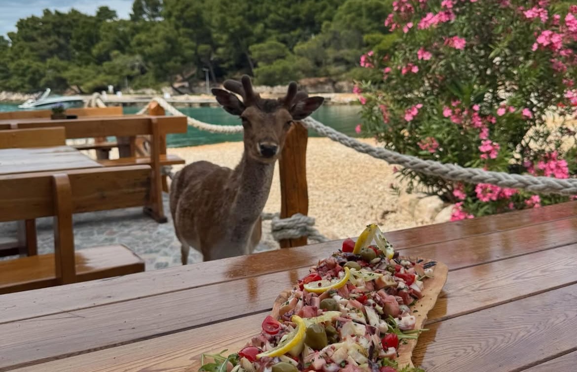 bambi otok