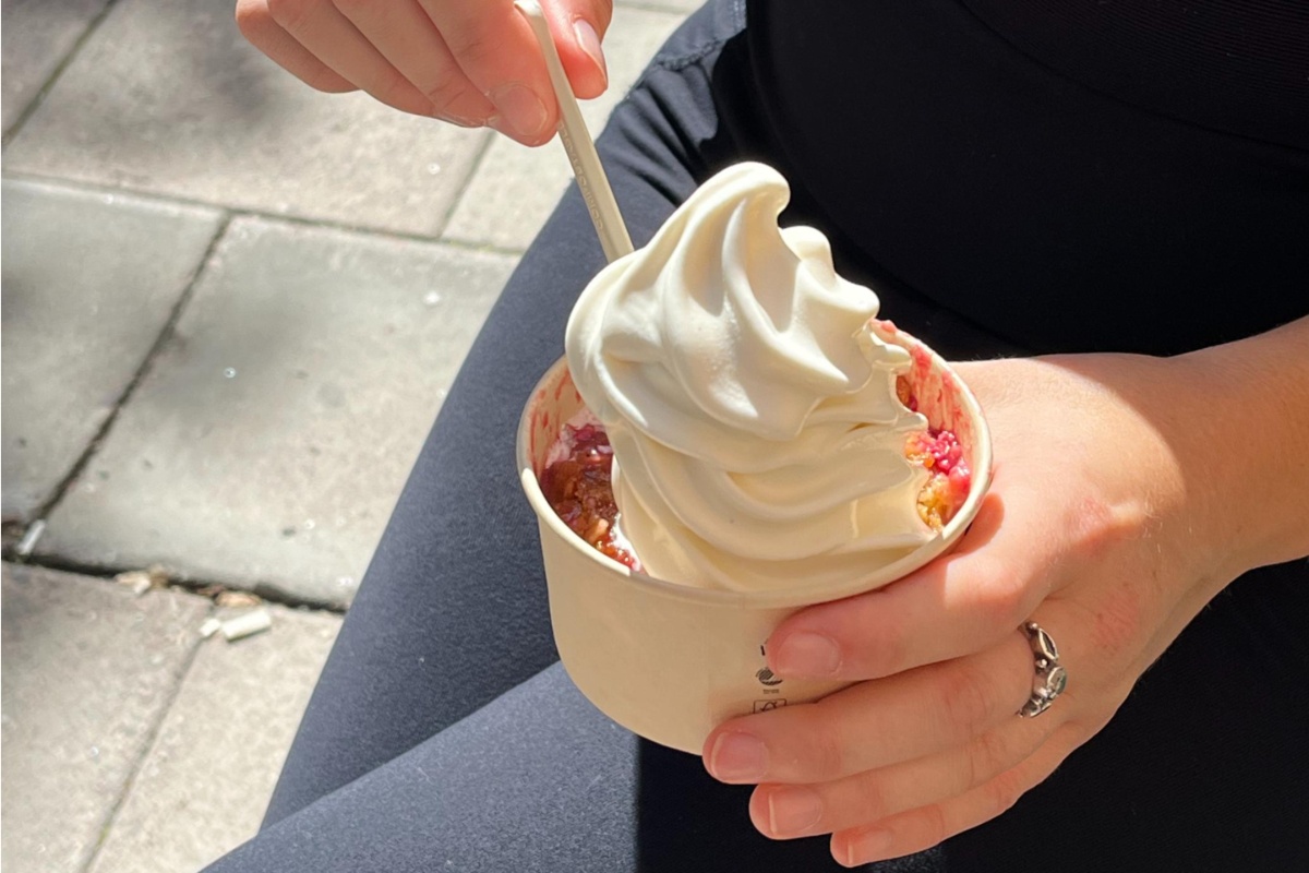 frozen yogurt recept