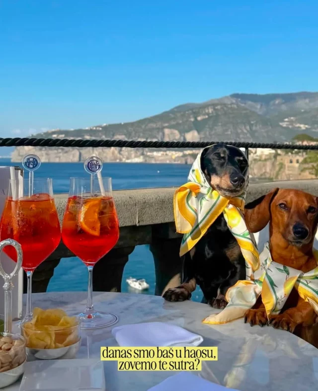 Haos nam je subotom 🥂 

📷 @puremarket.rs 

#graziahrvatska